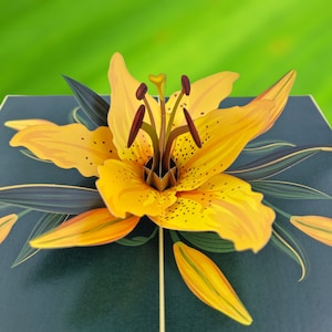 Cartão pop-up 3d flor de lírio amarelo