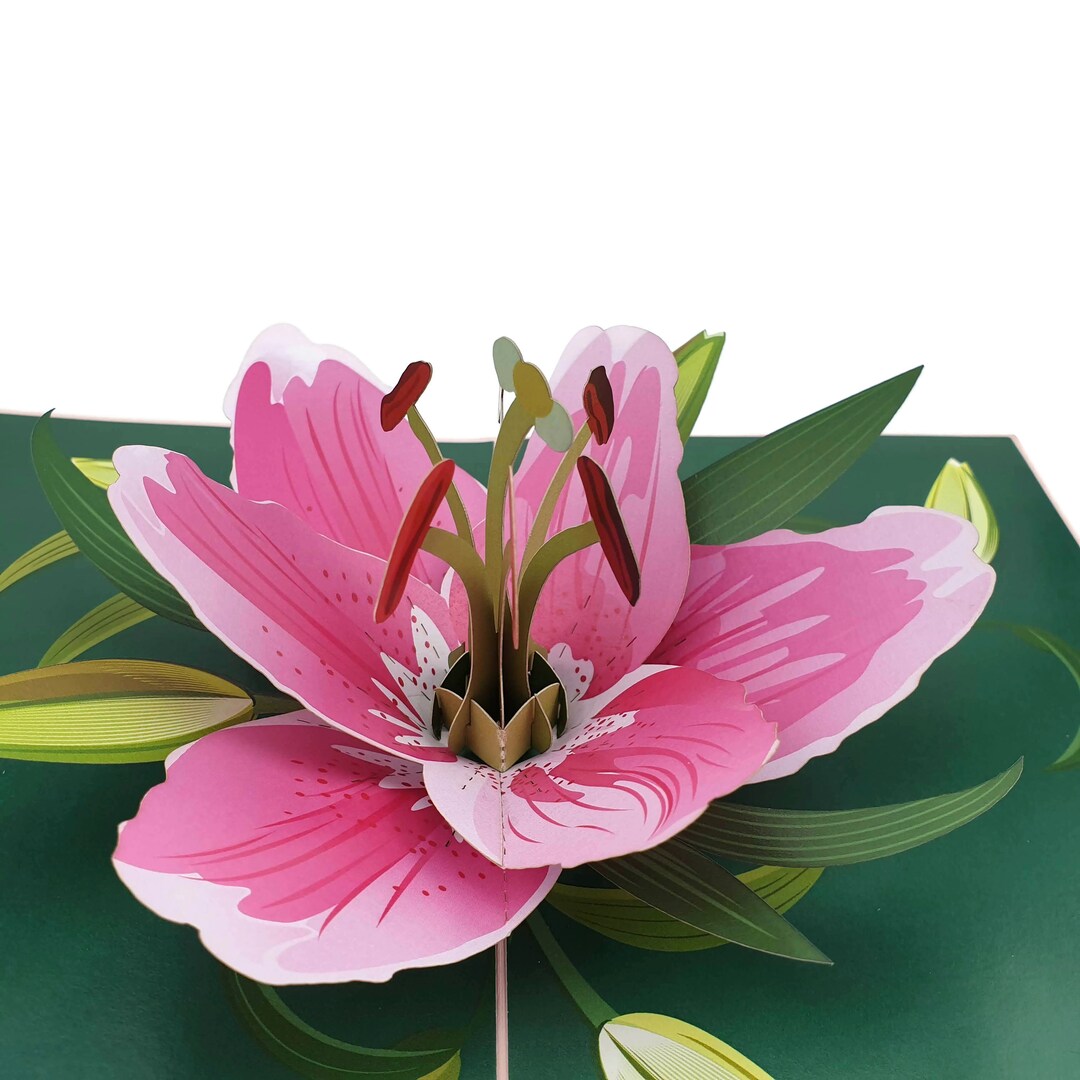 Pink Lily Flower 3d Pop up Card - Etsy