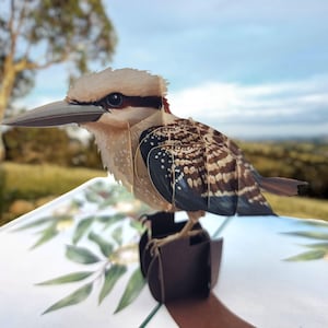 Laughing Kookaburra 3d pop up card