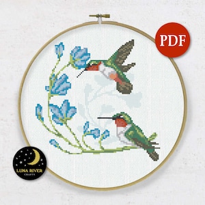 May include: Cross stitch pattern featuring two hummingbirds in flight, one green and one red, with blue flowers and green leaves on a white background.