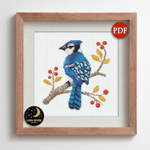 Blue Jay Cross Stitch Pattern - Instant Download - Bird Pattern - Counted Cross Stitch - Modern Cross Stitch - Bird Cross Stitch - PDF Chart