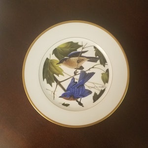 Hutschenreuther limited edition (2,731/5,000) 10.5&quot; plate &#39;Eastern Bluebird&#39; from the original painting by John A. Ruthven made in Germany
