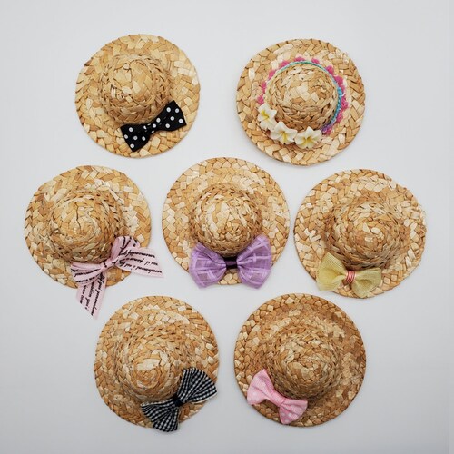 Bearded Dragon Large Wicker Hats