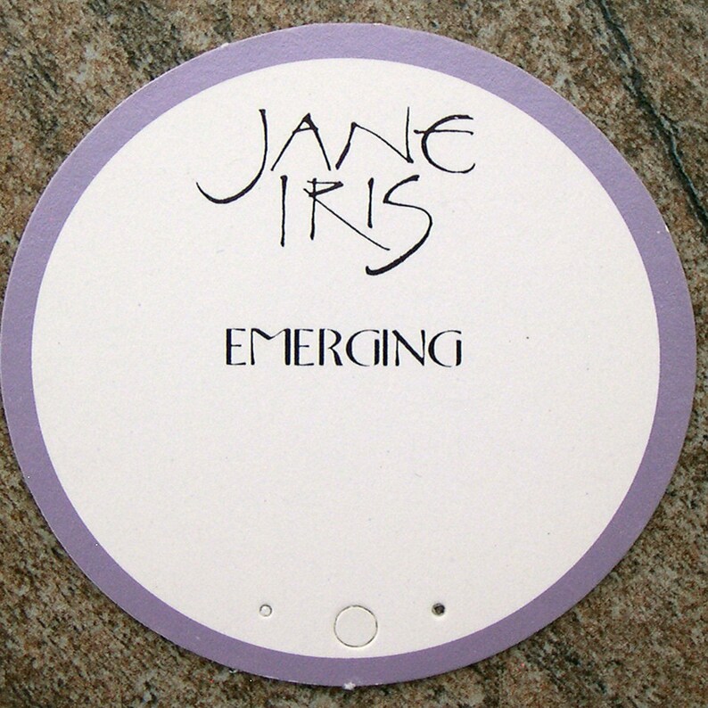 Emerging Pendant Coming Out