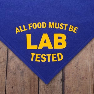 All Food Must Be Lab Tested. Funny over-the-collar dog bandana. Silly. Honest. From the Confessions Collection. Hungry Labrador.