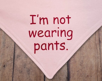 I'm not wearing pants. Funny over-the-collar dog bandana. Silly. Honest. From the Confessions Collection.
