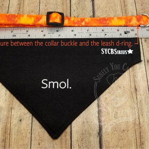 Go Wild. Wilderness-patterned over-the-collar dog bandana. May be personalized. image 3