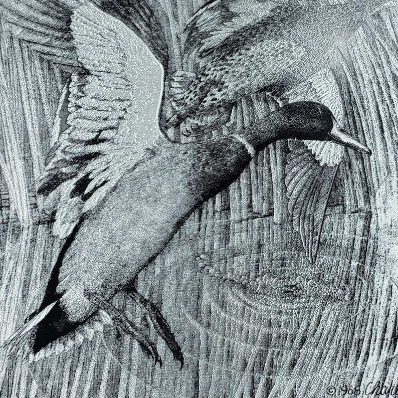 1968 Charles Beckendorf Nature Etchings Metal Etching On Etsy