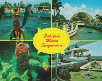Vintage Miami Florida Seaquarium Postcard, Oceanarium, Aquarium, Ephemera, Souvenir Postcard, Florida Tourist Attraction, Virginia Key