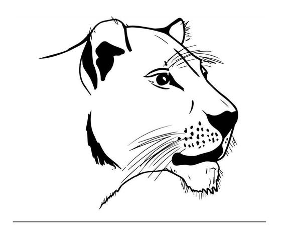 Download Lioness Animal Queen Predator Beast Power Mammal Strength ...