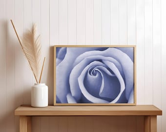 Blue Rose Photography Print – Floral Wall Art (Digital Download)