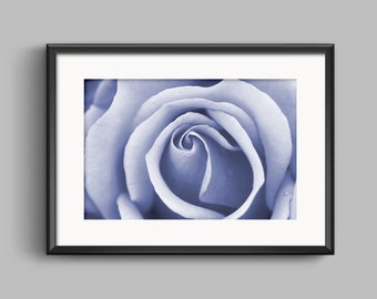 Blue Rose Flower Photography - Digital Print - Nature Photography - Modern Home Décor - Printable Wall Art - Flower Photo - INSTANT DOWNLOAD