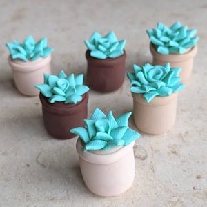 Mini Clay Succulents Singles (Quarantine &#39;Sucks-ulents&#39;)