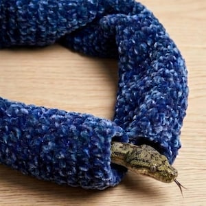 May include: A coiled, dark blue, textured, plush tube-shaped object with a soft, fuzzy surface. A small, patterned, brown and green snake with a visible tongue is emerging from the open end of the blue plush tube, resting partially inside.