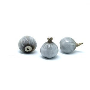 10 or 100 &quot;Miracle&quot; Seeds Beads - Lagrima San Pedro