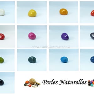 Tagua - Choose the Color - Tagua Beads