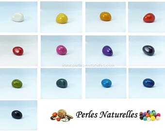 Tagua - Choose the Color - Tagua Beads