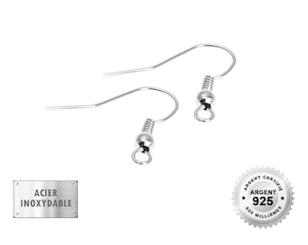 May include: Two silver earring hooks with a spring closure. The hooks are made of stainless steel and are marked with "925" and "Argent" on a silver tag.