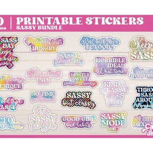 Sassy PNG Stickers | Sarcastic Printable Stickers | Funny Printable Stickers | Print and Cut stickers bundle | Vol2 -- Digital Download --