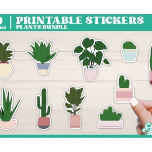 Funny Plant Stickers | Packaging Sticker Bundle | Plant Lover Stickers | Print and Cut Stickers | Printable Stickers | -- Digital Download -