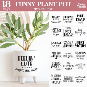 Funny Plant SVG Bundle, Planter Quote Bundle, Funny Plant Sublimation Design, Plant Lover SVG and Sublimation Designs, Cut File for Cricut