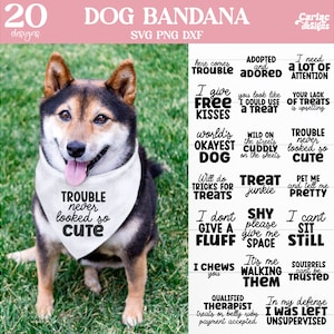 Paquete SVG de pañuelos para perros, pañuelos para perros SVG, paquete SVG divertido para perros, diseños de sublimación de pañuelos para perros, archivo de corte para Cricut