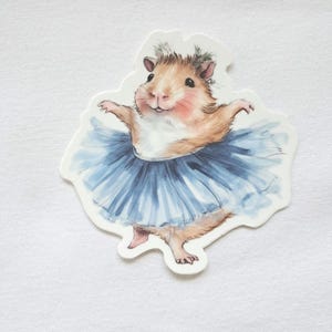 Meerschweinchen in Tutu, für Ballettfreunde, Meerschweinchenfans als Geschenkidee, zu Ostern, Geburtstag