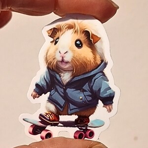 Skateur de cochon d'Inde, idée cadeau, souvenir pour les fans de cochon d'Inde, fans de skateur