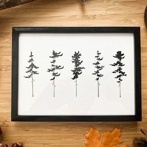 5 Pine Trees - Pen and Ink PRINT