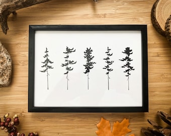 5 Pine Trees - Pen and Ink PRINT