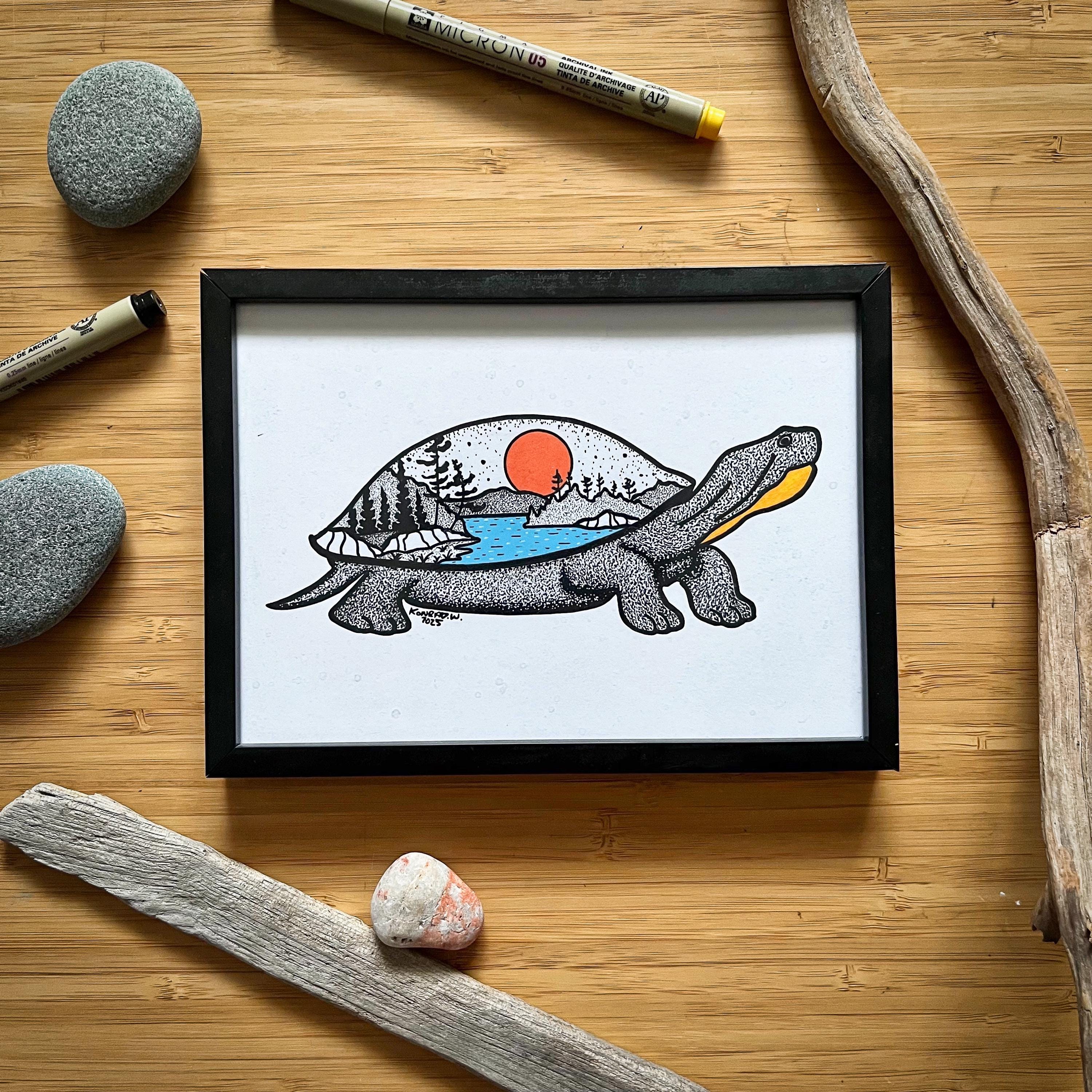 Northern Black Turtle - Etsy