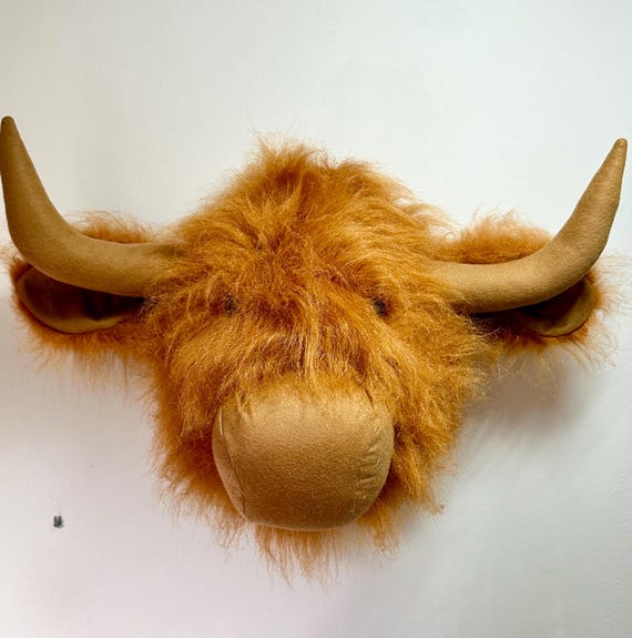 Fergus The Highland Bull