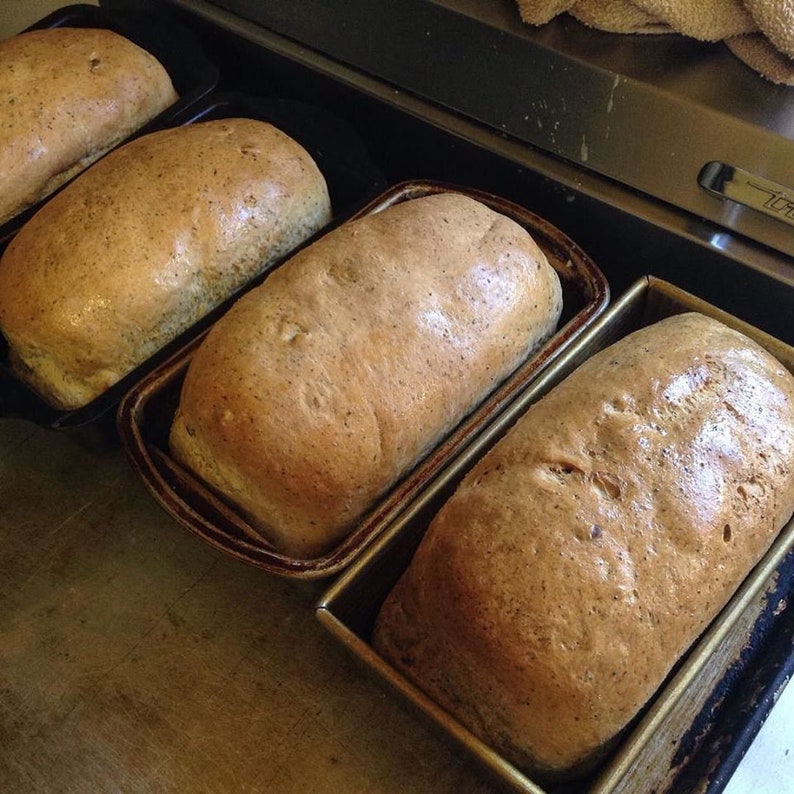 Low Sodium Seed Bread 2 Loaves or 12 Rolls. Made With No Salt. Hearty