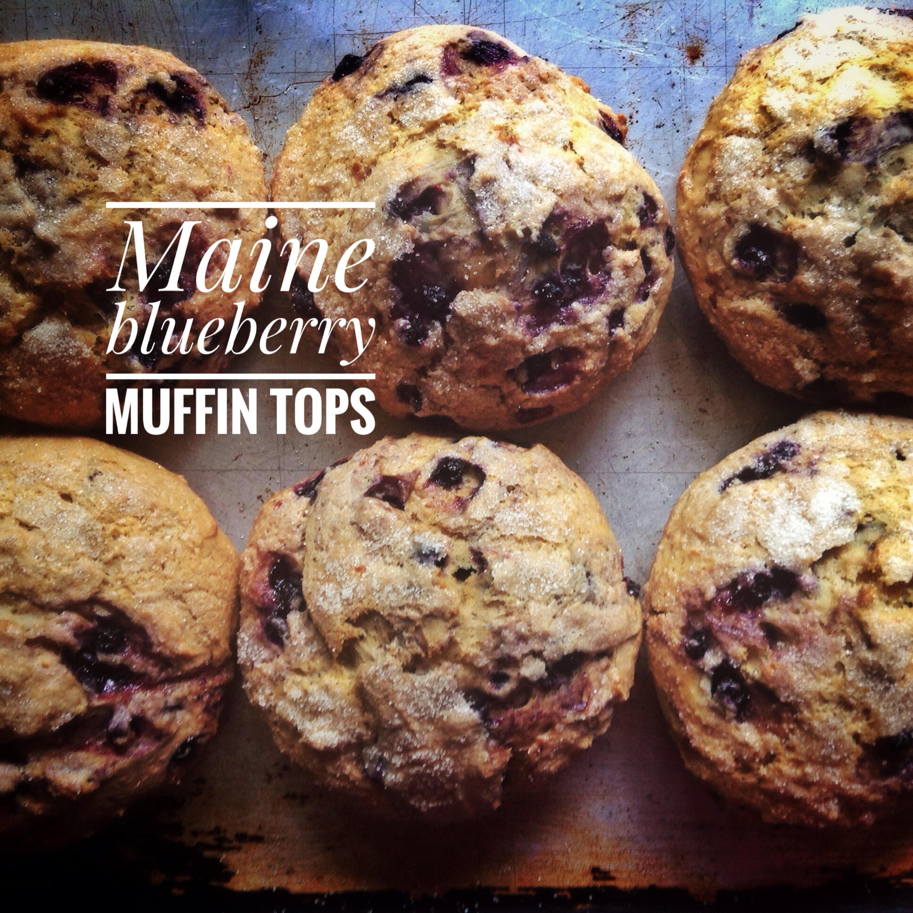 6 low sodium Wild Blueberry Muffin Tops made with Maine Etsy