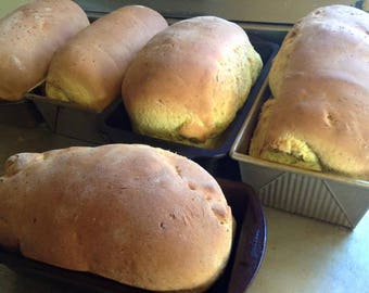 Low sodium turmeric basil bread. No salt but very flavorful!  Two loaves or 12 rolls