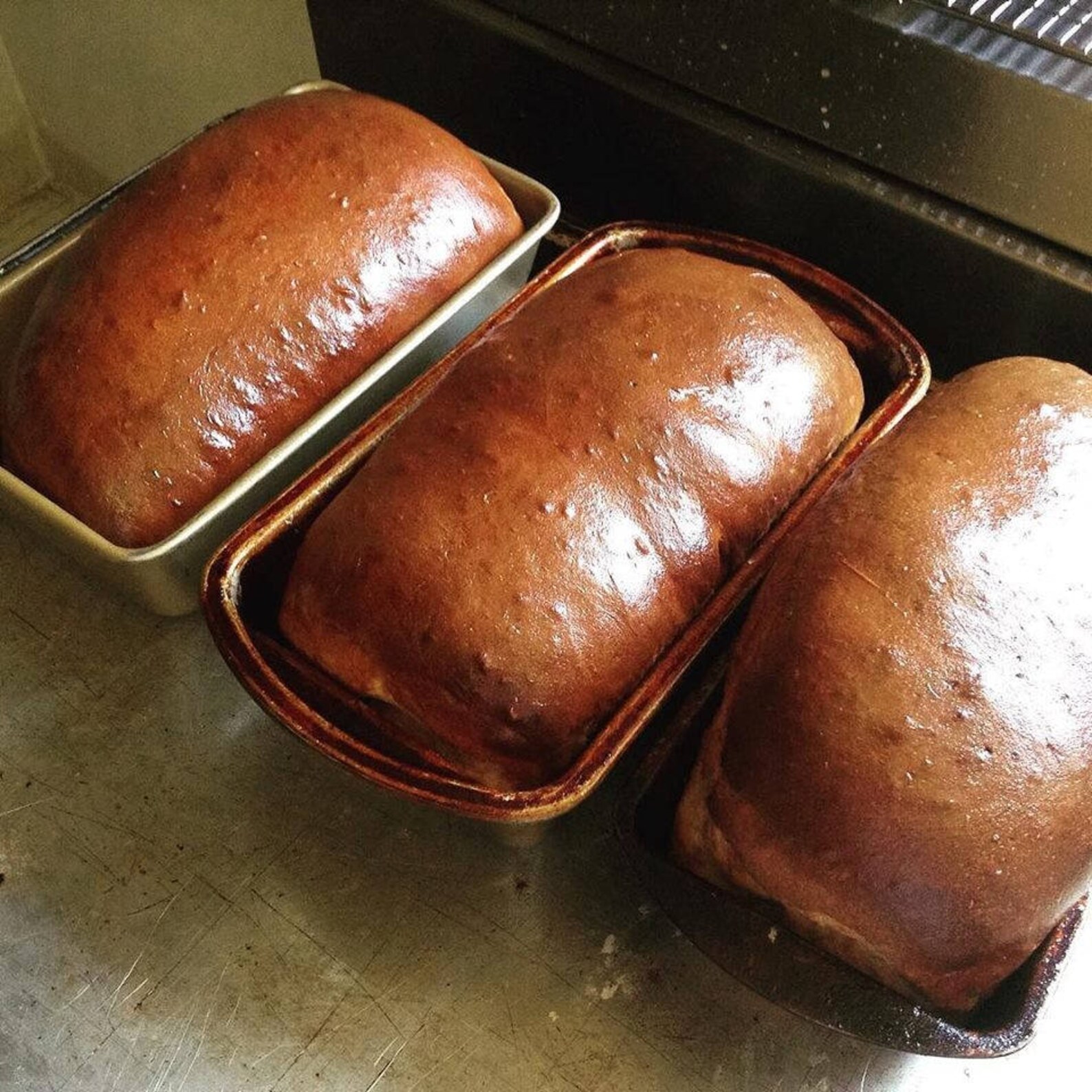 Low Sodium Whole Wheat Bread, as 2 Loaves or 12 Rolls. Made With No