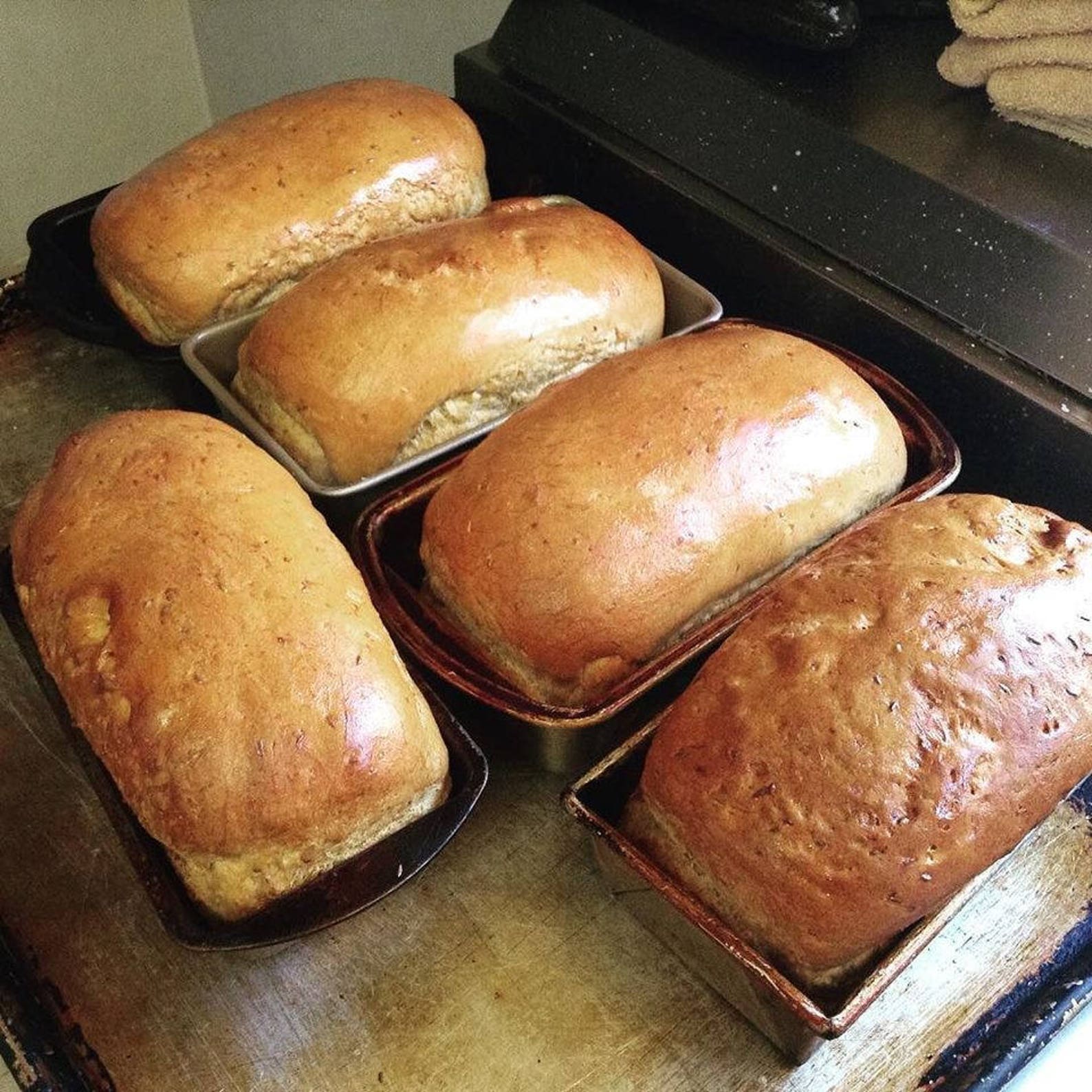 Low Sodium Rye Bread Light or Dark, in a 2 Loaves or 12 Rolls. Made