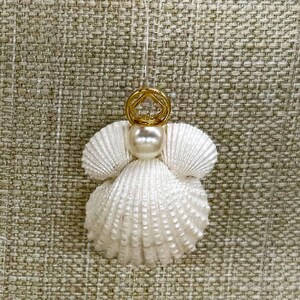 Puede incluir: Adorno de ángel hecho a mano con conchas blancas, una perla y un halo dorado. Las alas del ángel están formadas por conchas delicadas y texturizadas. Se adjunta un hilo transparente para colgarlo. El fondo es una tela texturizada de tono neutro.