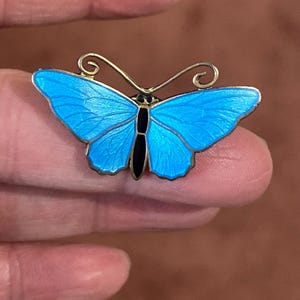 Enamel Butterfly Pin Norway - Etsy
