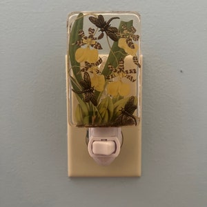 Dragonflies Night Light