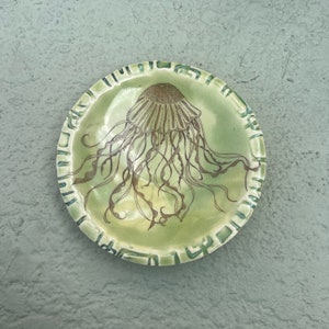 Jellyfish Catch-all