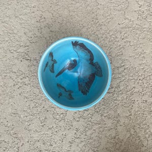 Pelicans Bowl