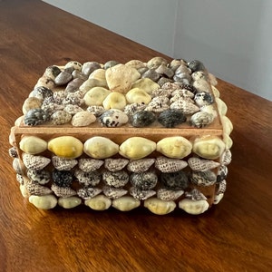 May include: A wooden box covered in a mosaic of small seashells. The box is a light brown color and the shells are a variety of colors, including white, beige, and brown.