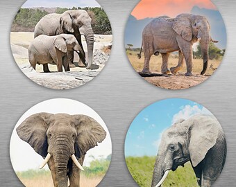 Elephant in oils Fridge Magnet | Unique Oil Paintings | Personalised for you | Animal Lovers Gift | Gift for her/ him | Circle + Square