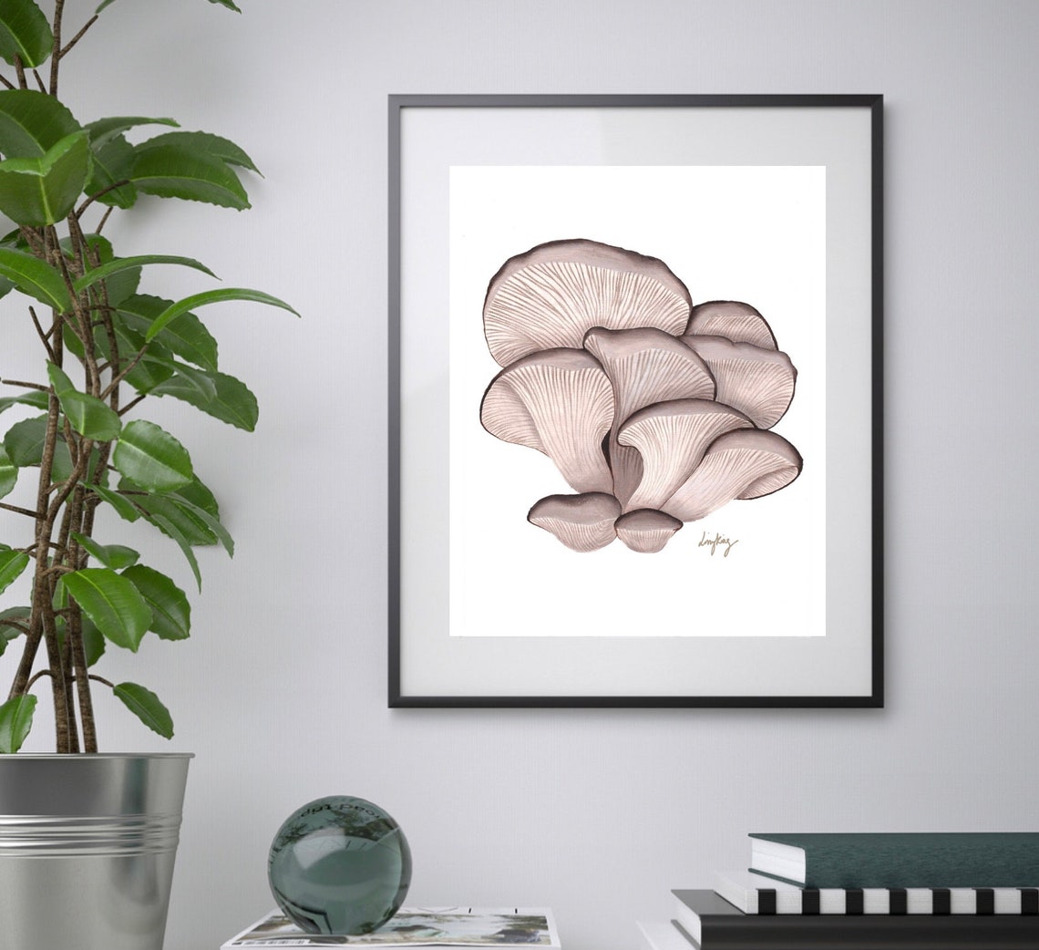 Oyster Mushroom Art Print Oyster Mushroom Fungi Art Print Etsy UK