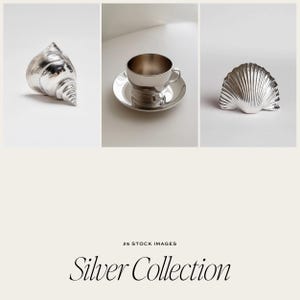 May include: A collection of three silver objects: a seashell, a teacup and saucer, and a decorative seashell. The objects are arranged on a white background.