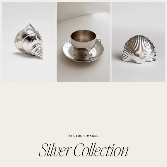 Silver Still Life Stock Image Collection: Chrome Objects (Digital Download)