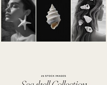 Seashell Stock Image Collection, Summer Beach Photography (Digital Download)