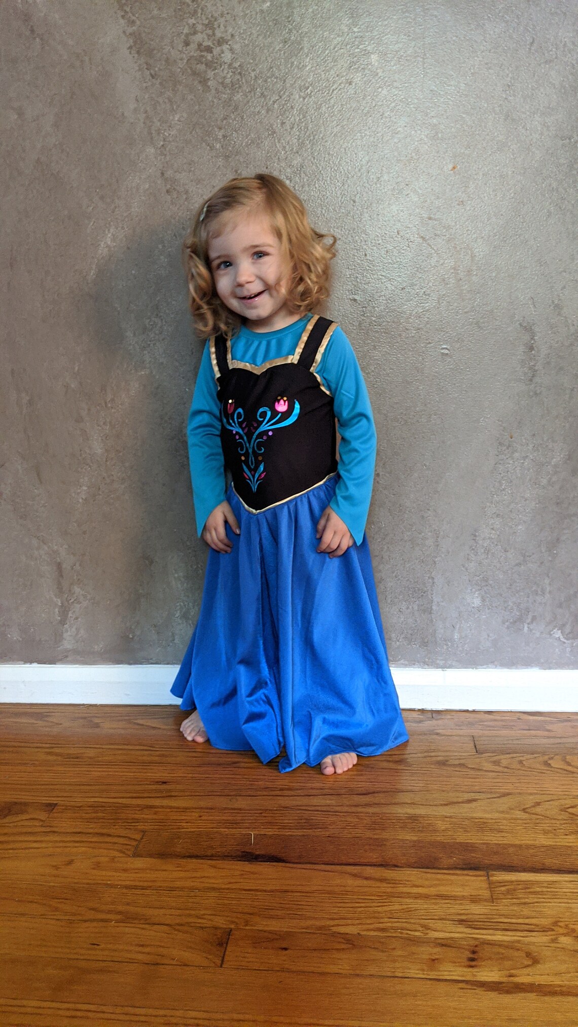 Anna Inspired Princess Twirl Dress
