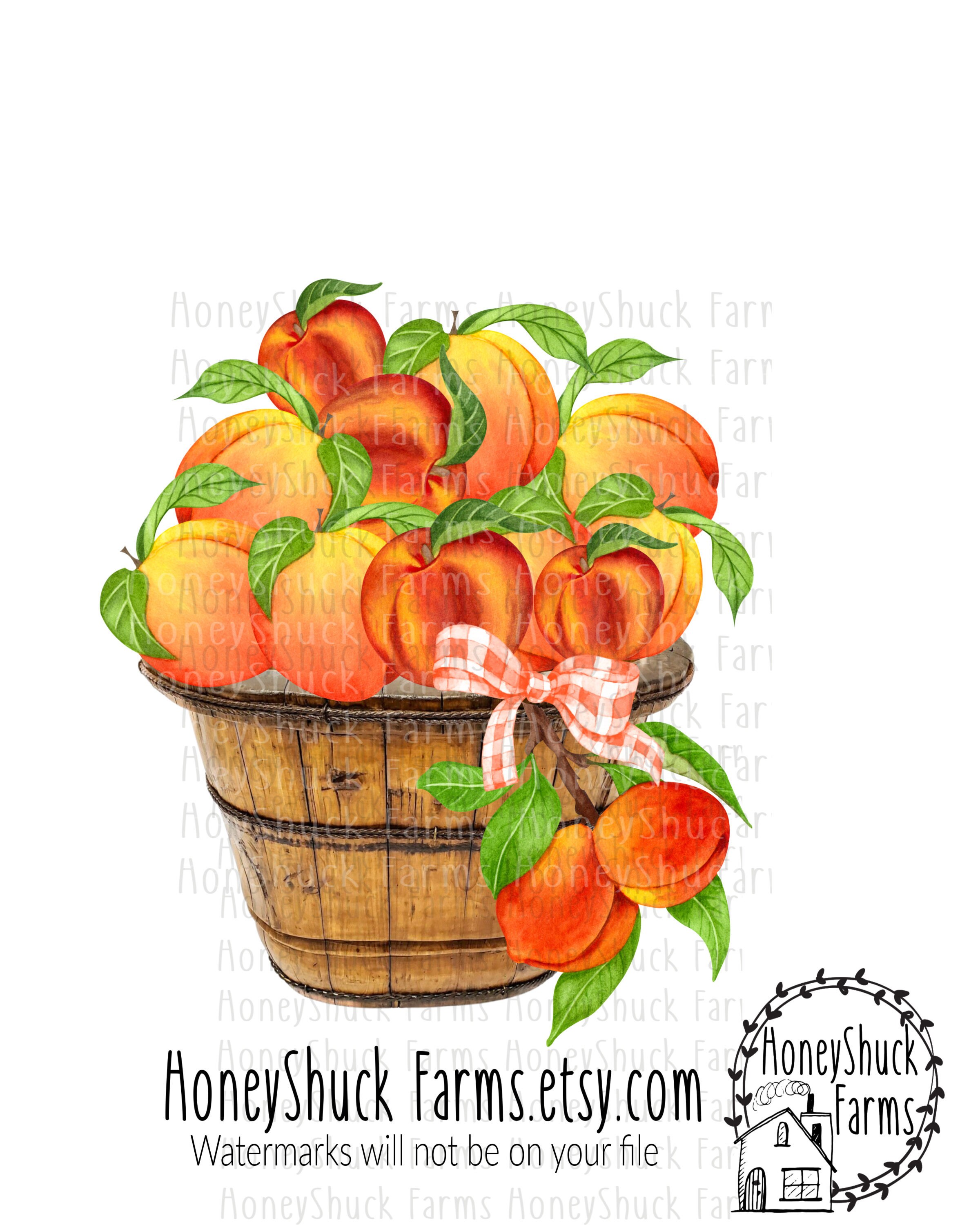 Peaches Digital Download Design Peach Basket png Printable Etsy